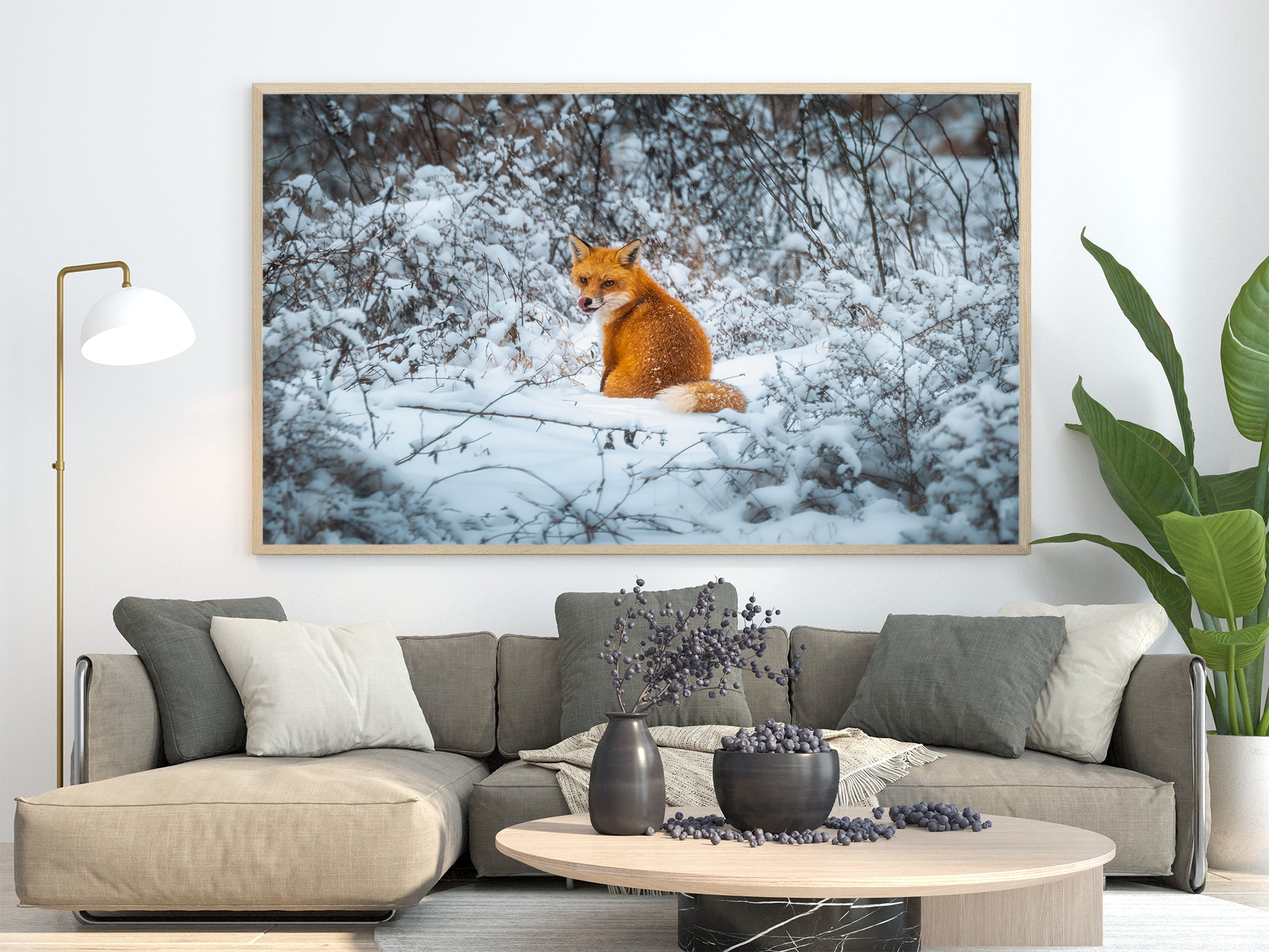 Fox in the Snow image 1