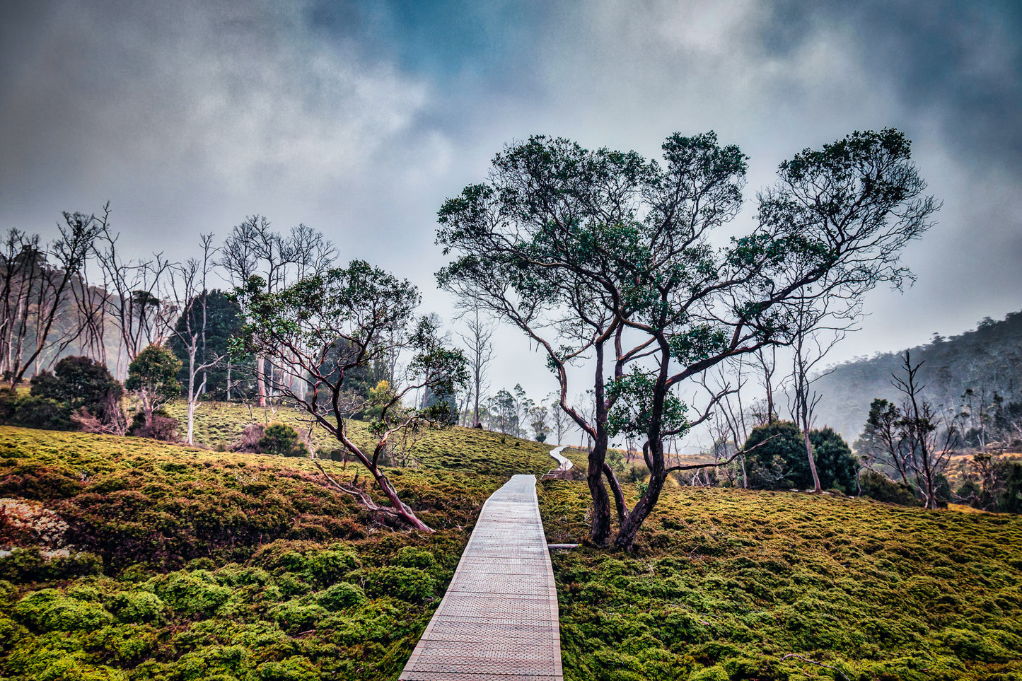 Wild Tasmania image 0