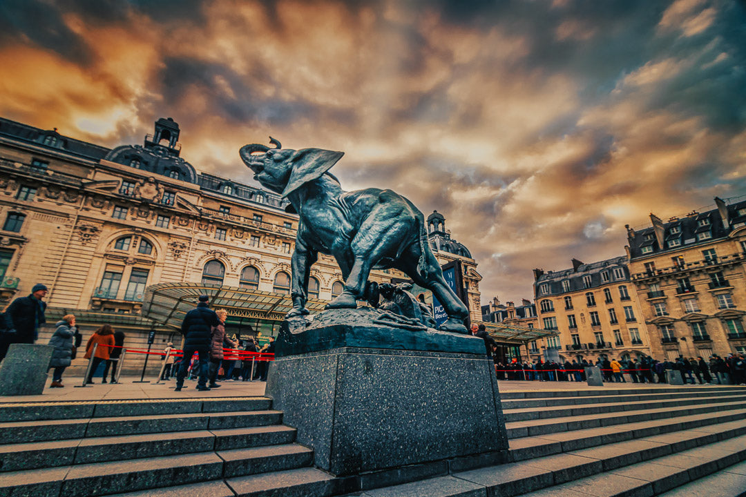 Elephants in Paris image 0