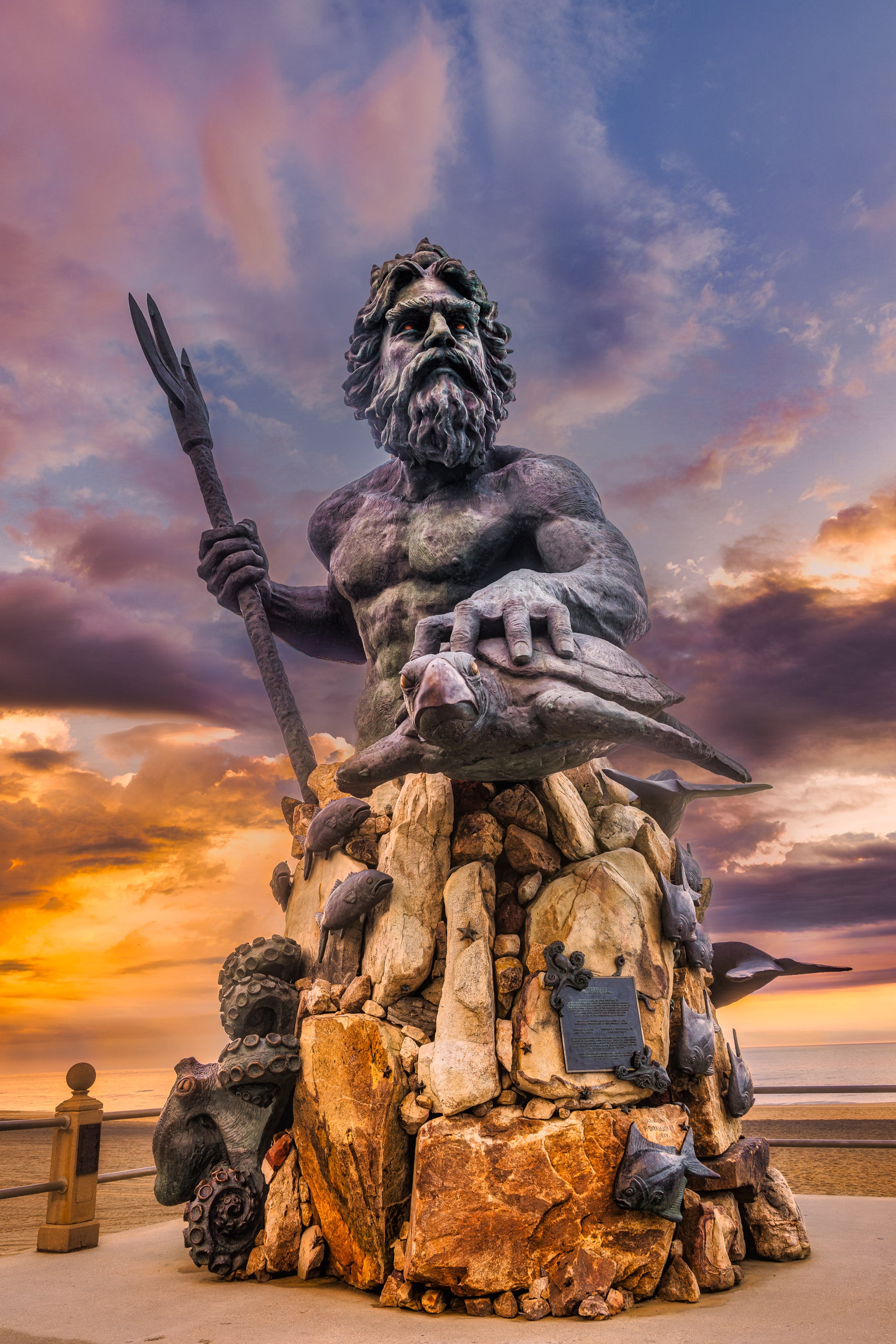 The King and His Turtle image 0