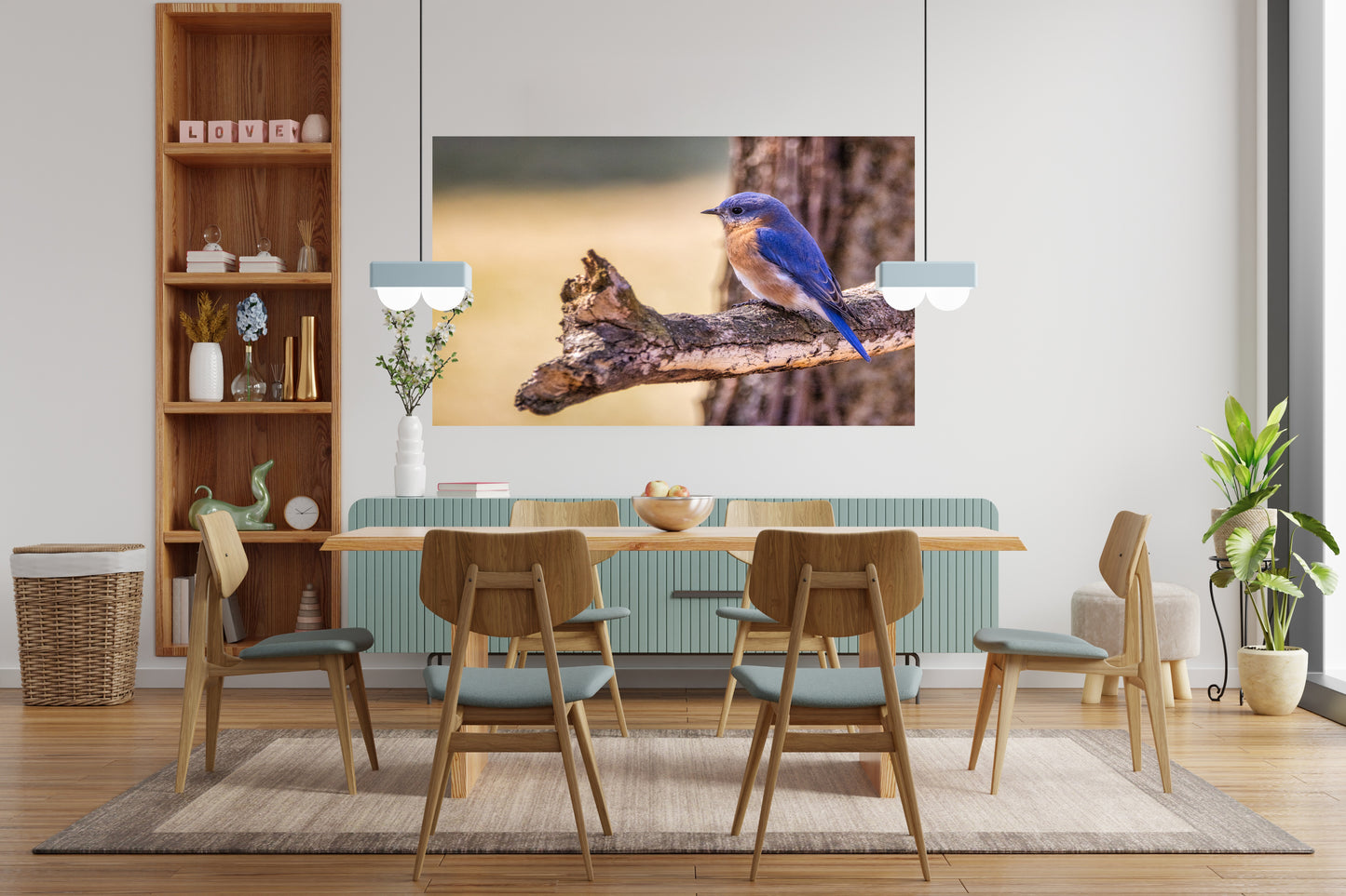 Perched Eastern Bluebird