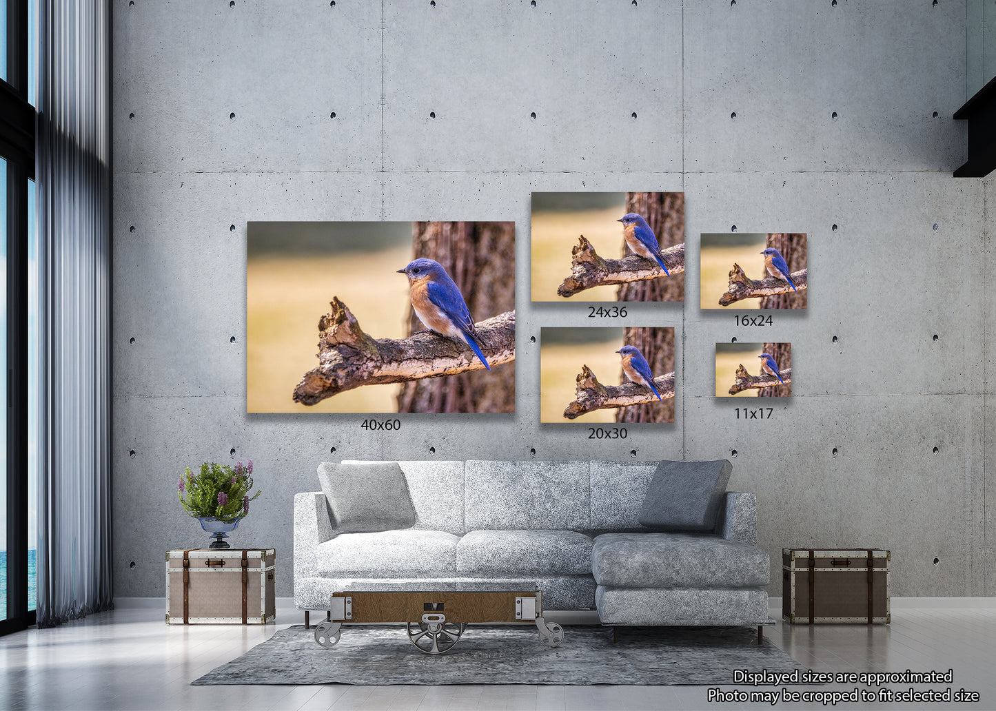 Azulejo oriental posado