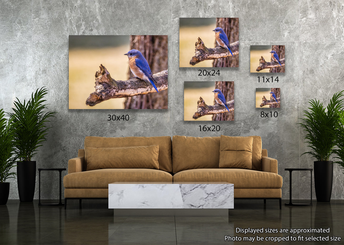 Azulejo oriental posado