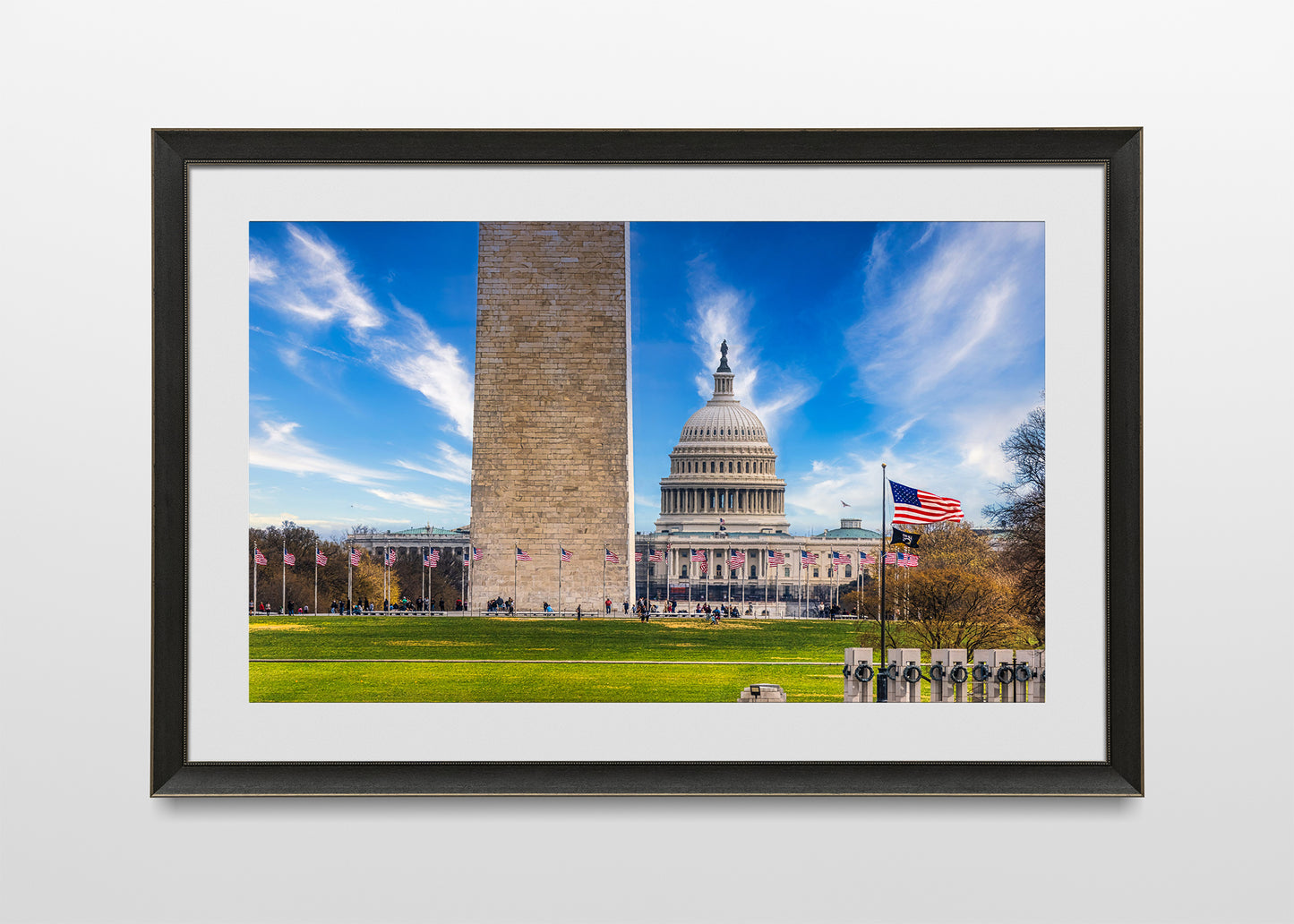 An Economical View of the National Mall