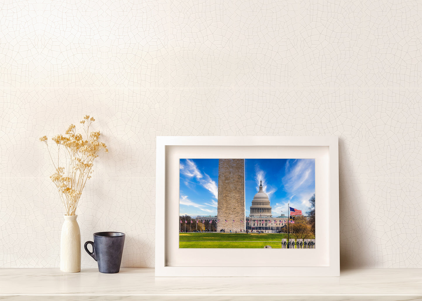 An Economical View of the National Mall