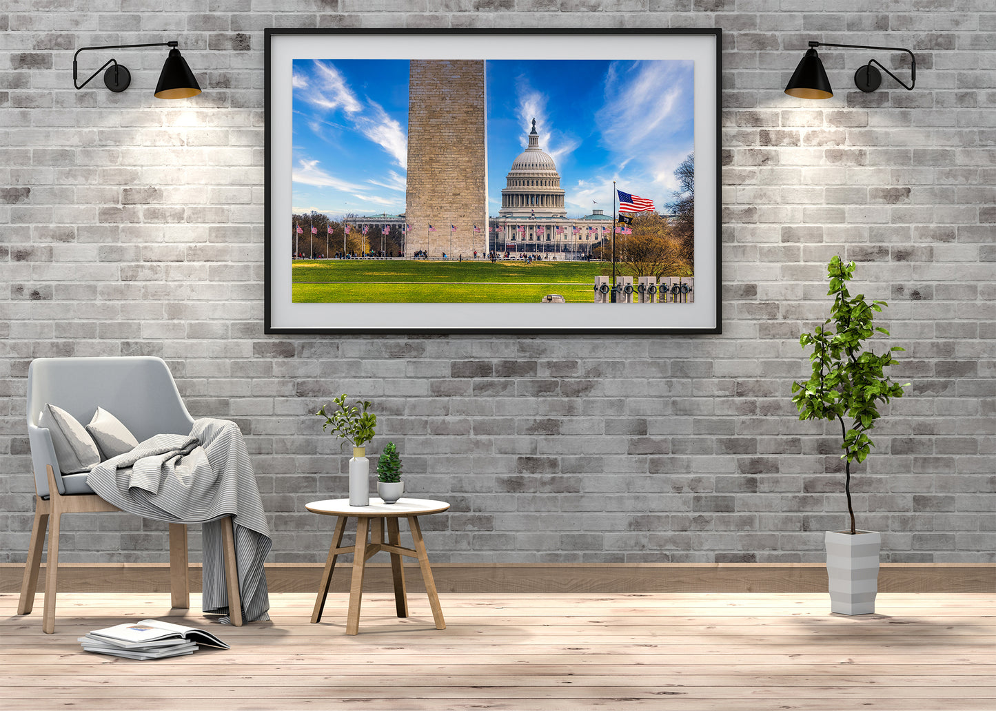 An Economical View of the National Mall
