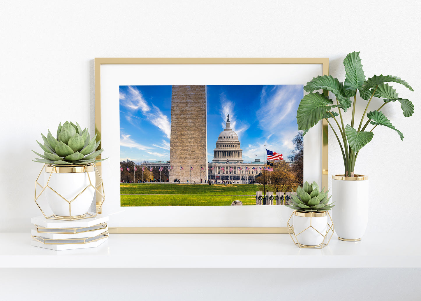 An Economical View of the National Mall