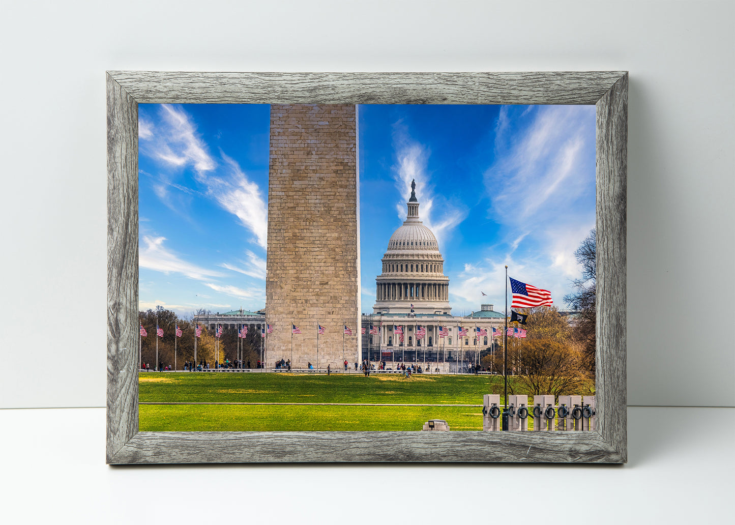 An Economical View of the National Mall