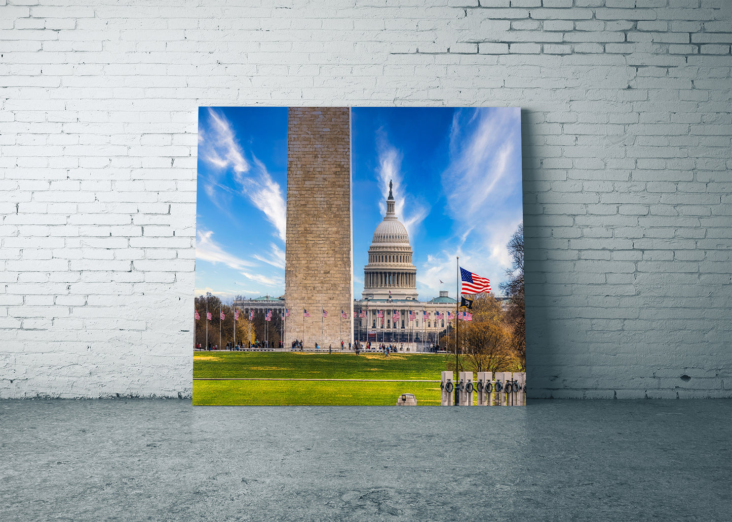 An Economical View of the National Mall