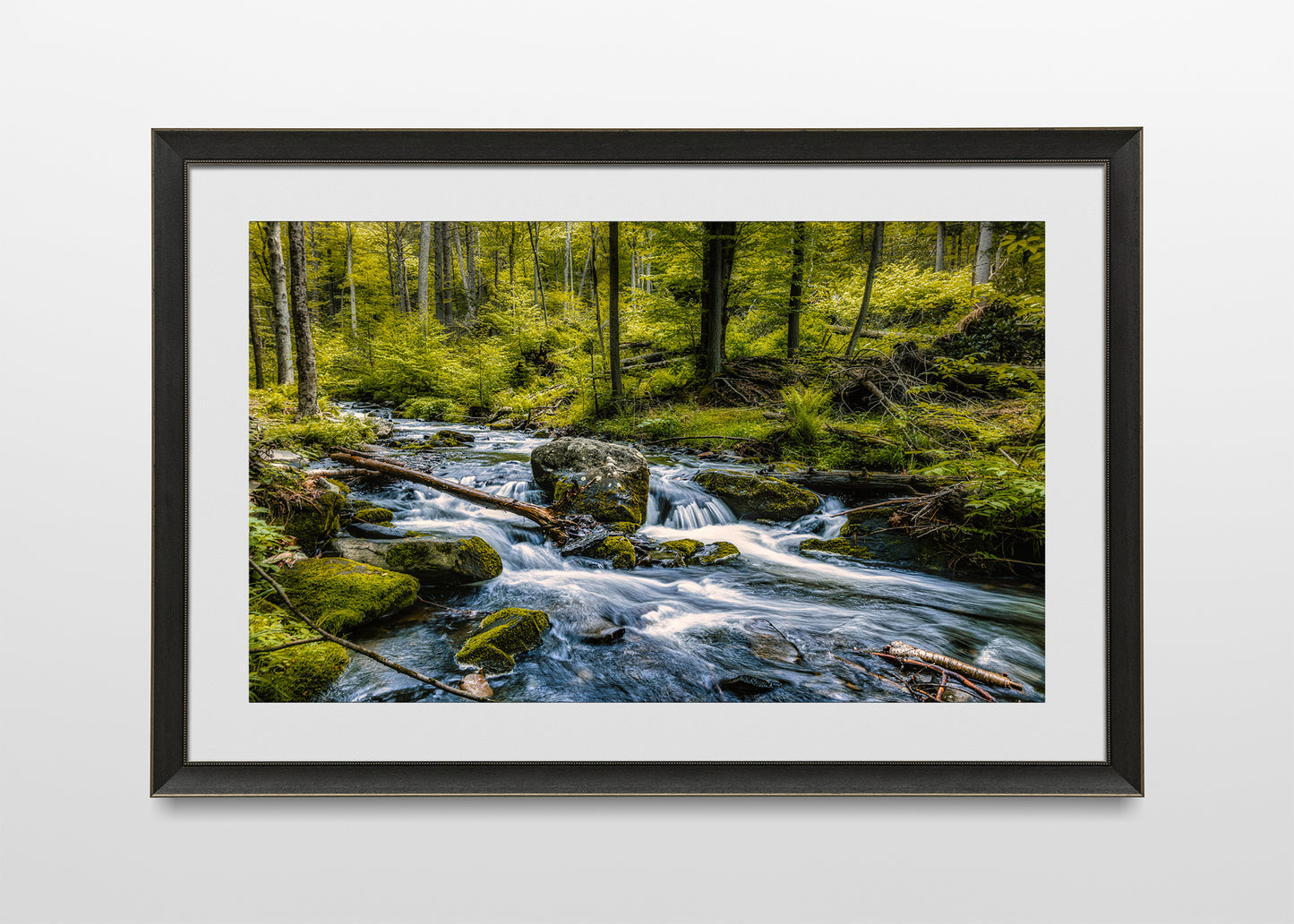 Little Bushkill Falls
