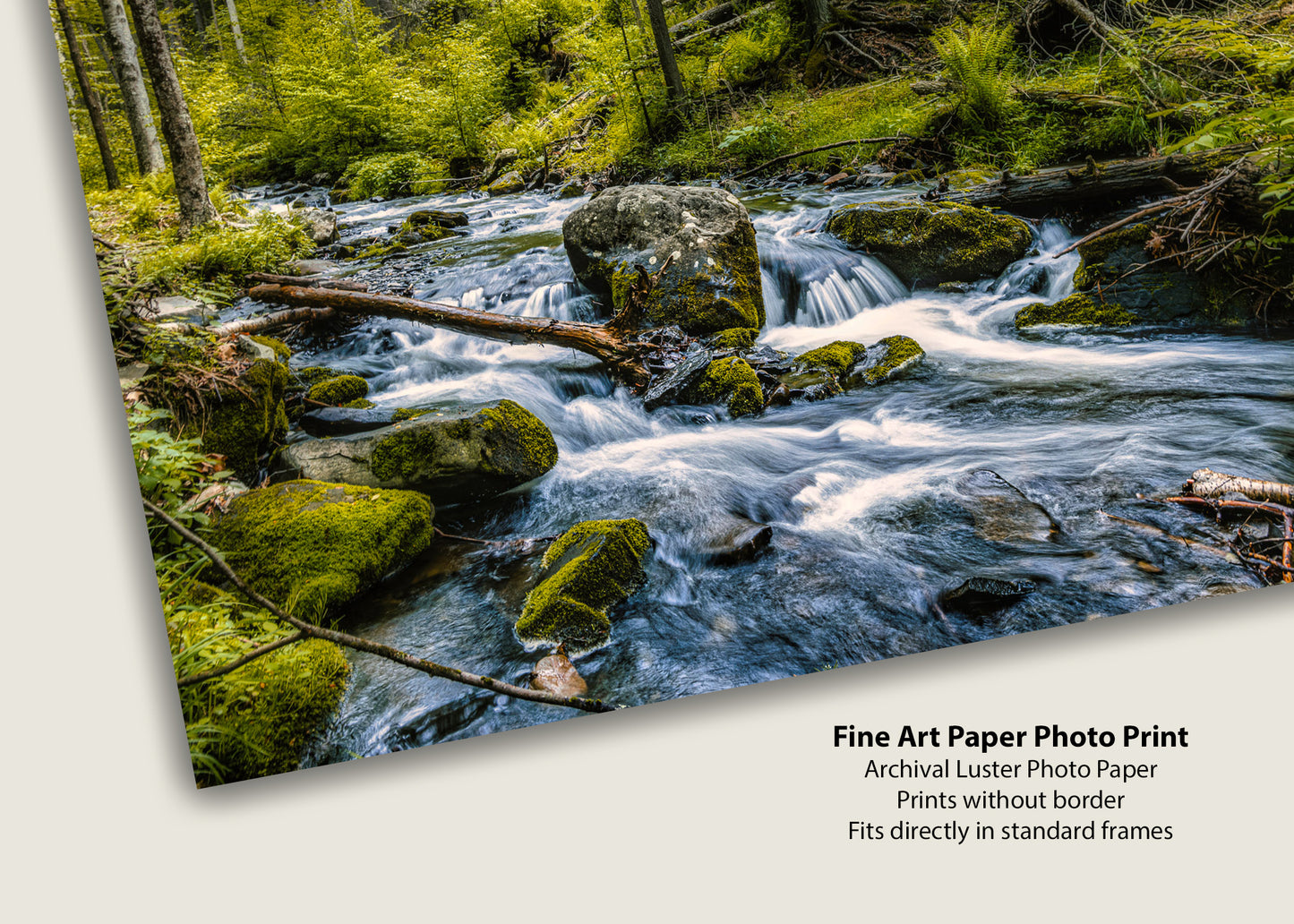 Little Bushkill Falls