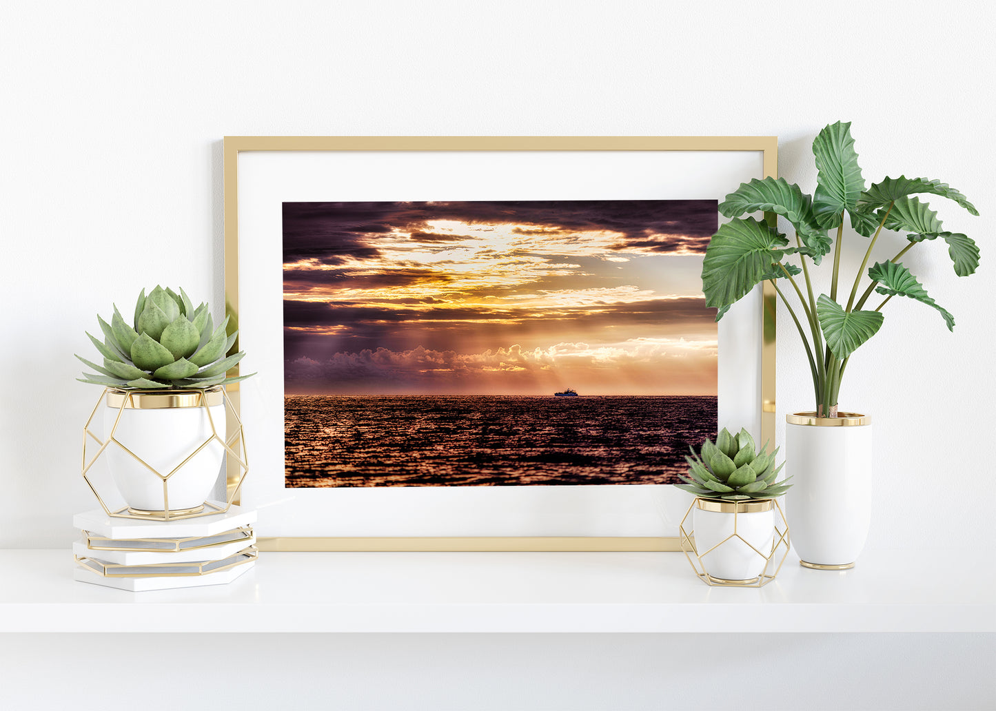 Pescamos al amanecer