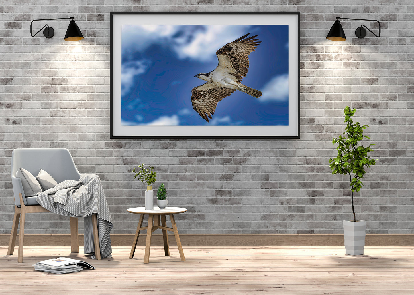 Águila pescadora de Ocean City