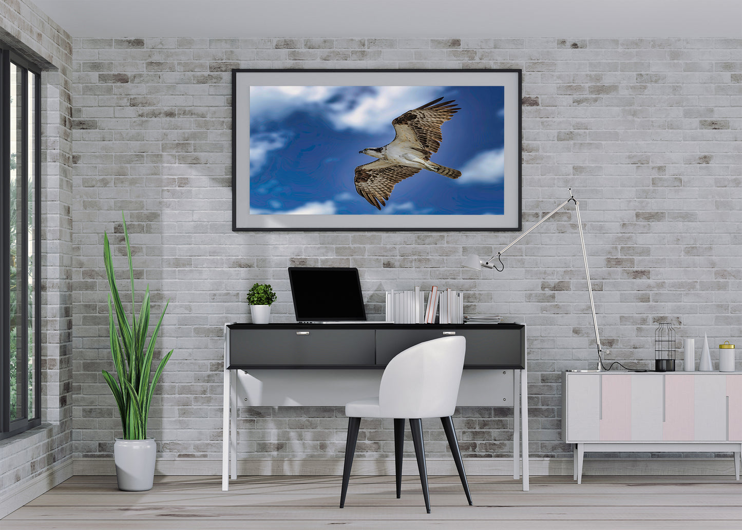 Águila pescadora de Ocean City