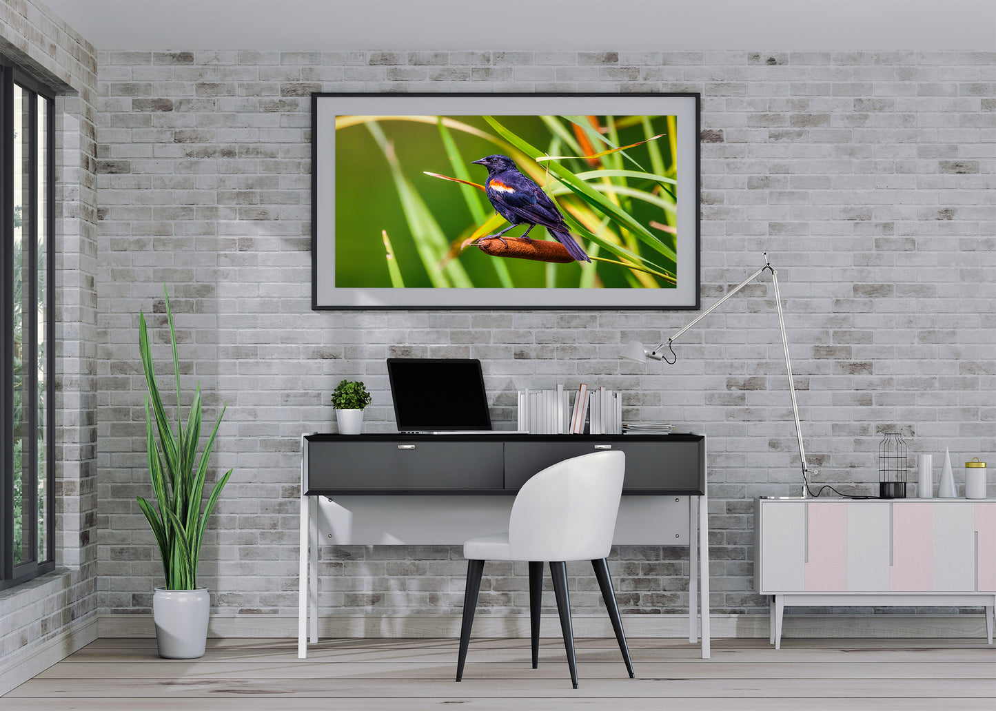 Alas rojas y espadañas