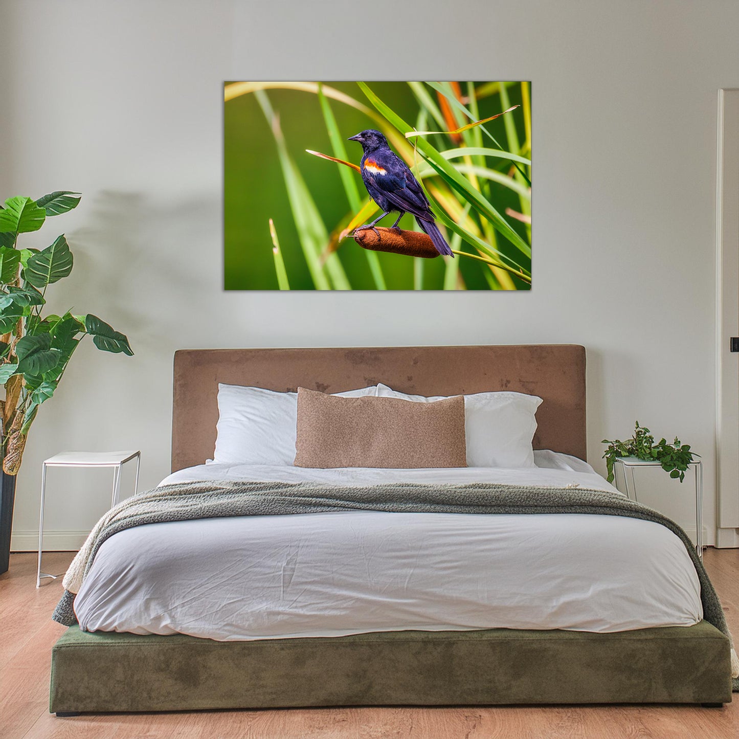 Alas rojas y espadañas