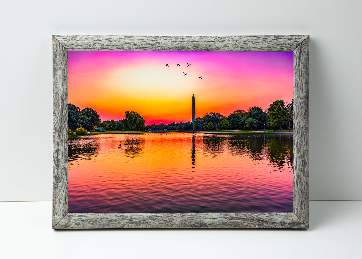 Sunrise over Constitution Gardens