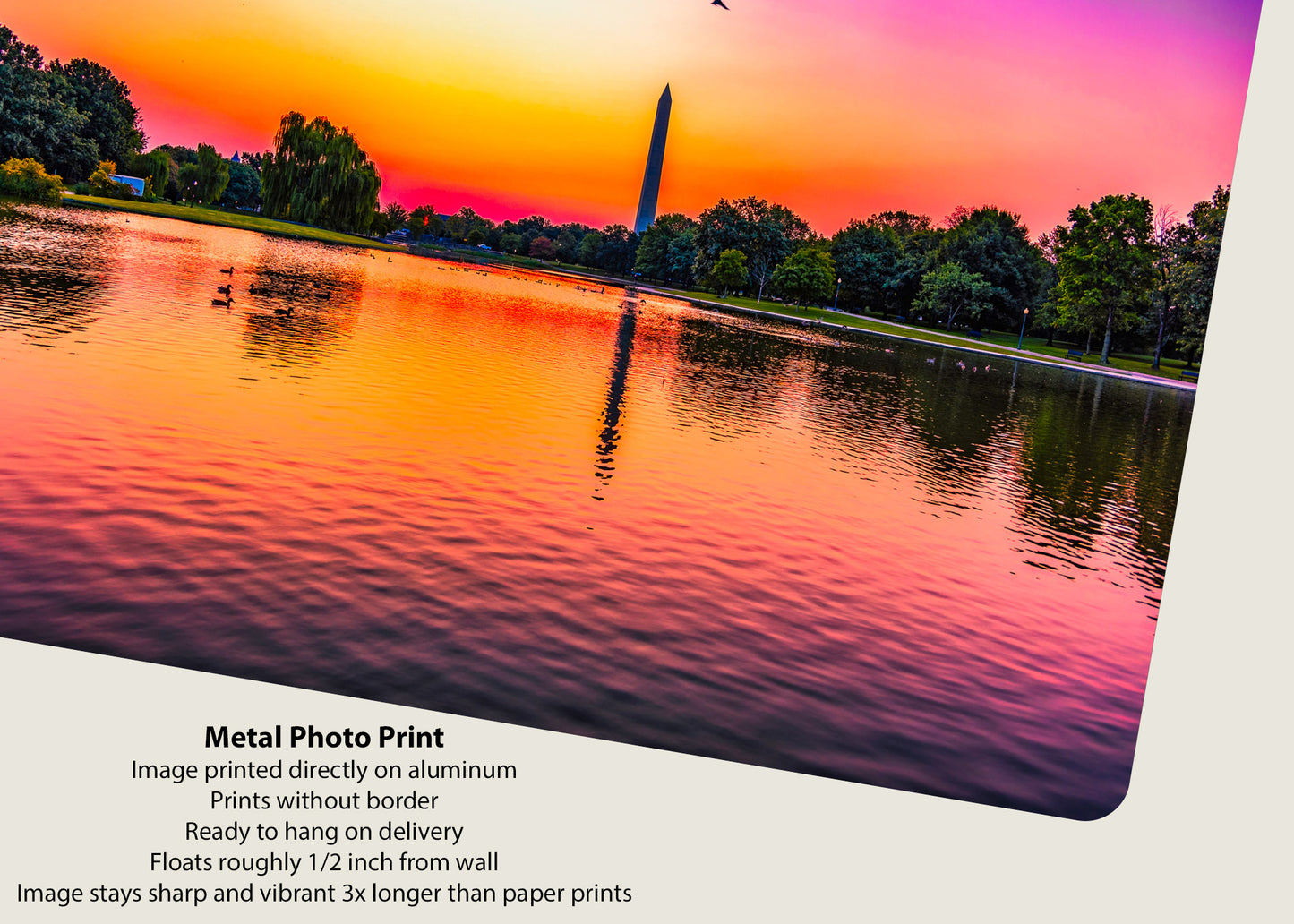 Sunrise over Constitution Gardens