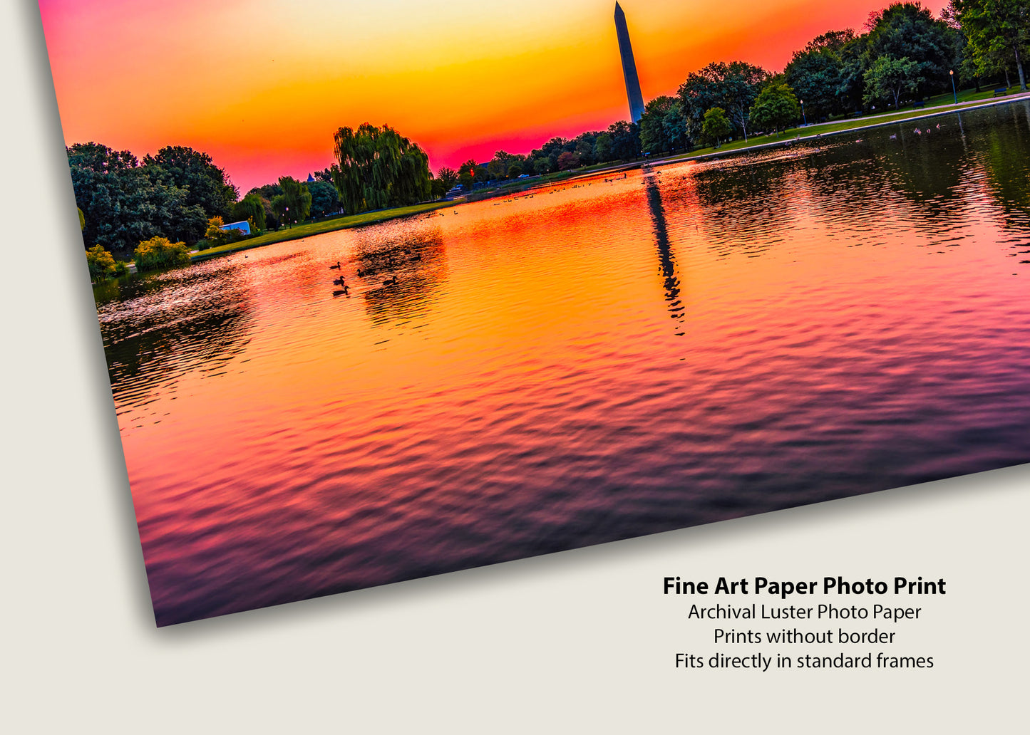 Sunrise over Constitution Gardens