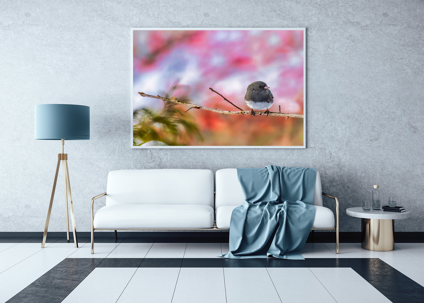 Dark-eyed Junco against a Great-o Pink Background