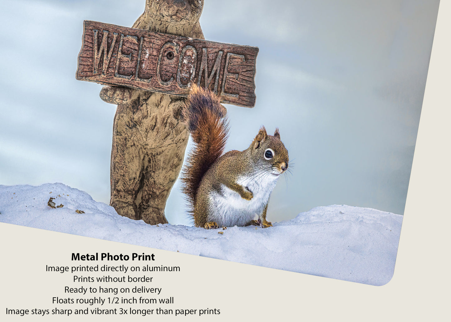 Bienvenida al invierno salvaje