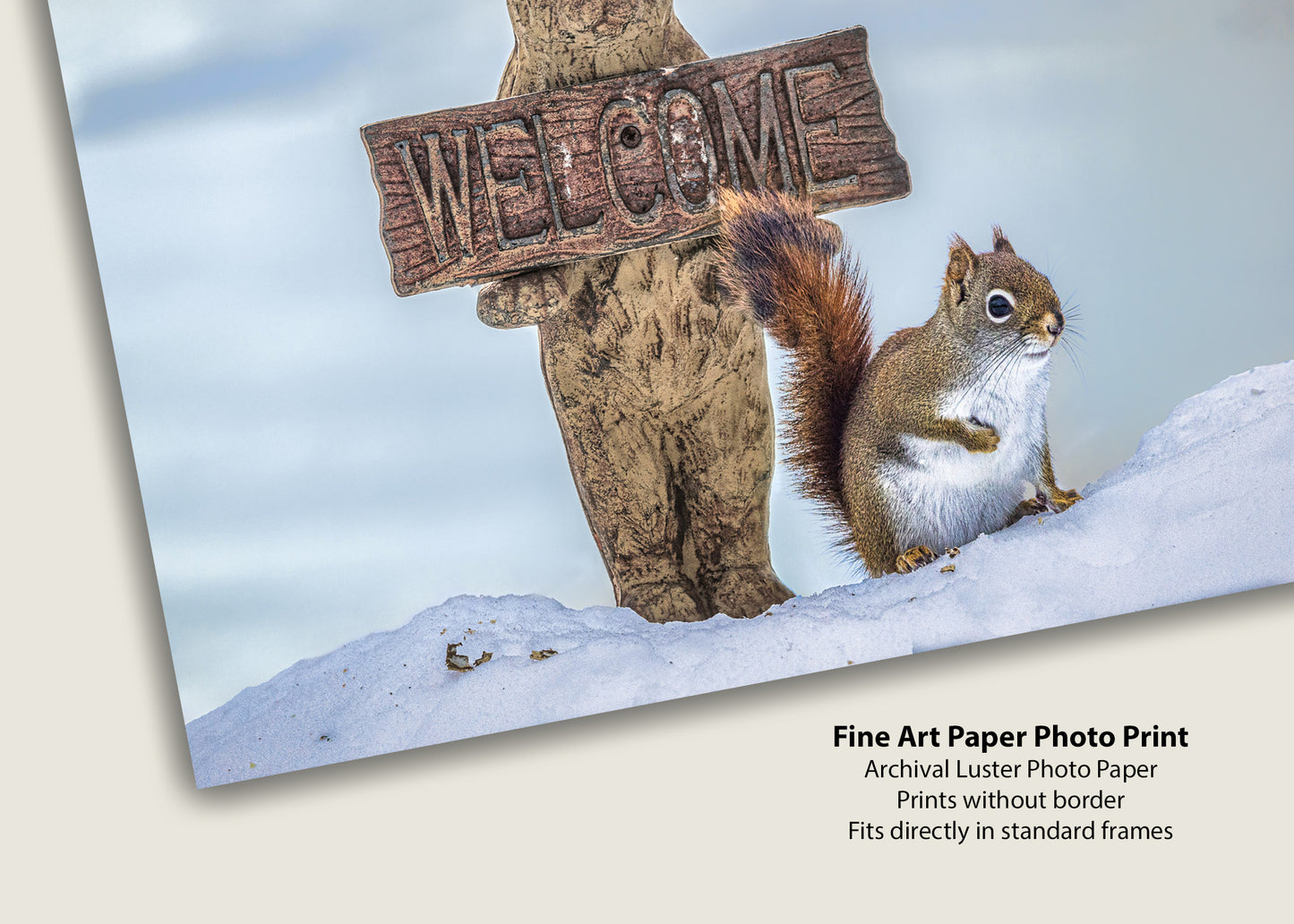 Bienvenida al invierno salvaje