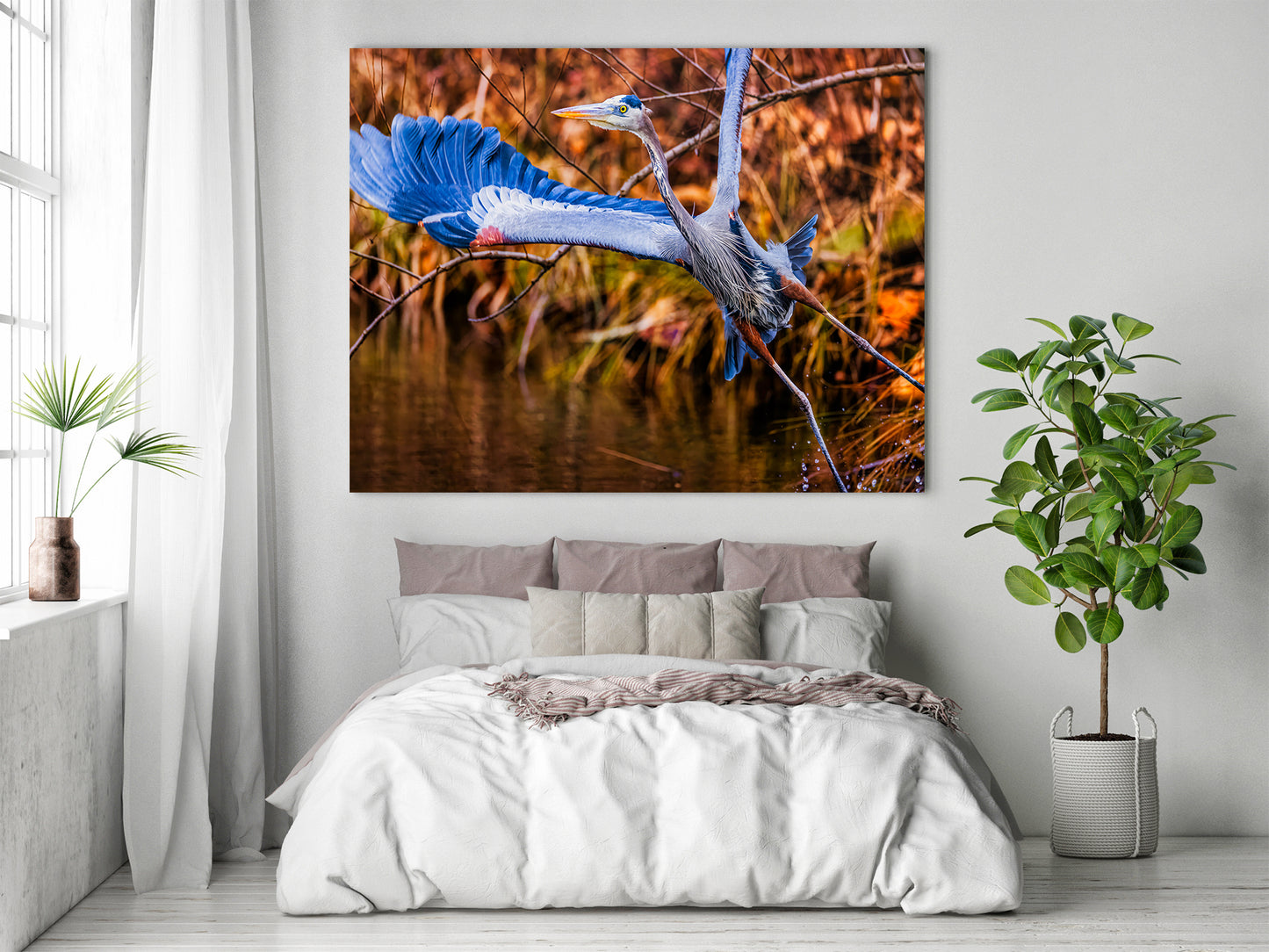 No Time to Pose, Gotta Fly