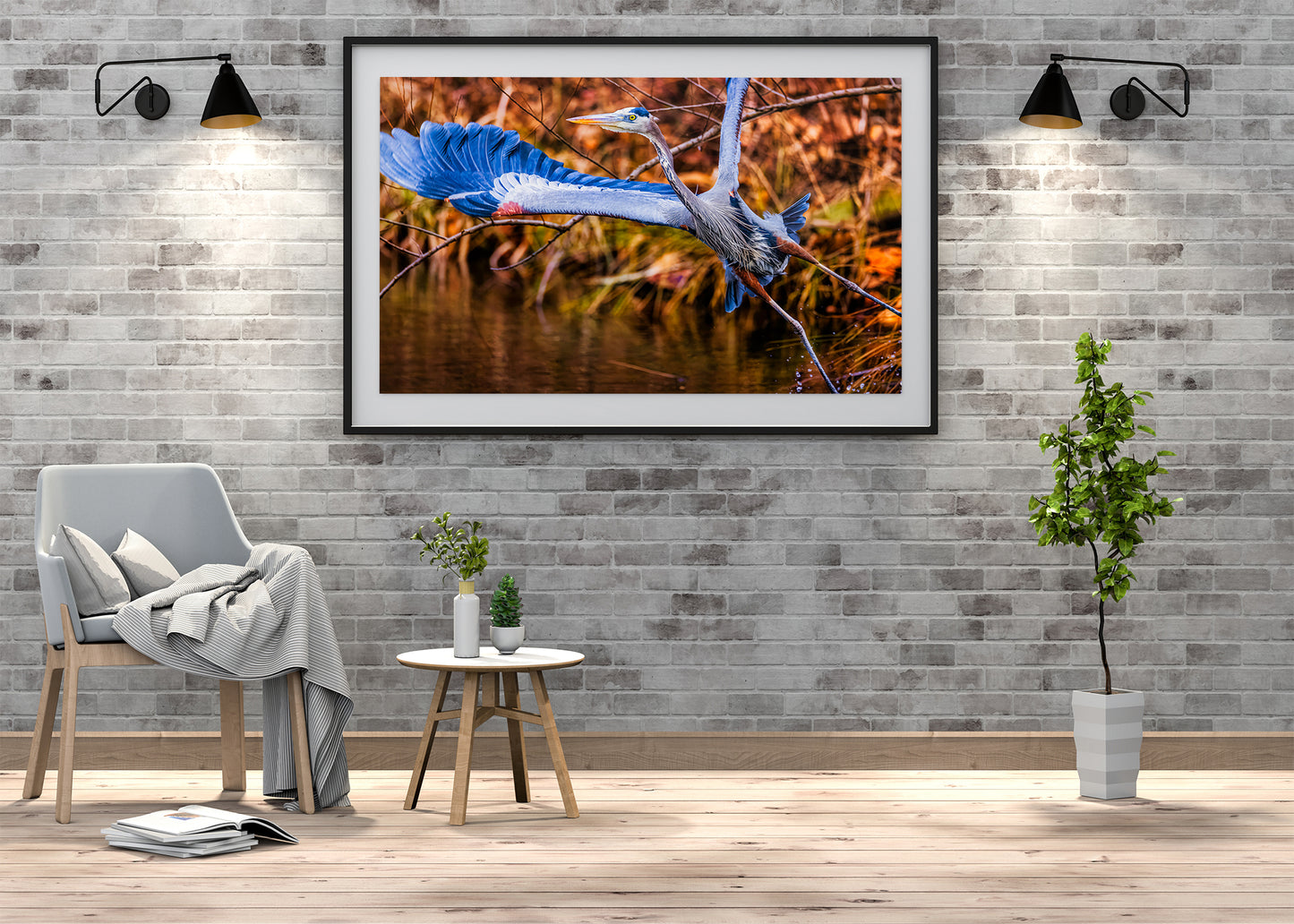 No Time to Pose, Gotta Fly