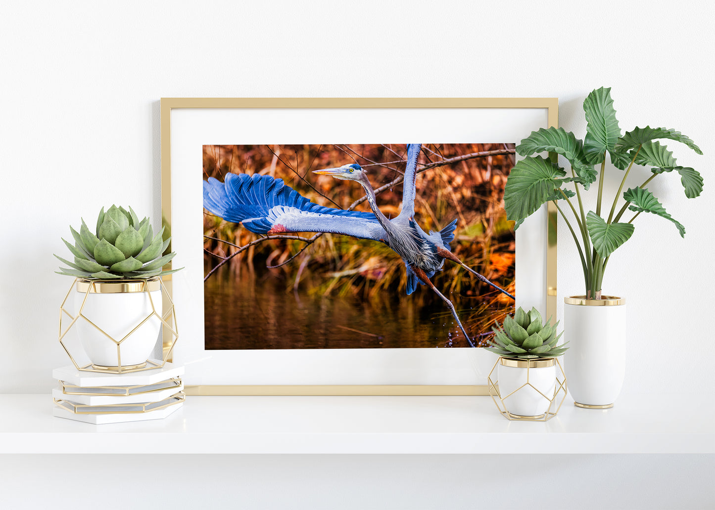 No Time to Pose, Gotta Fly