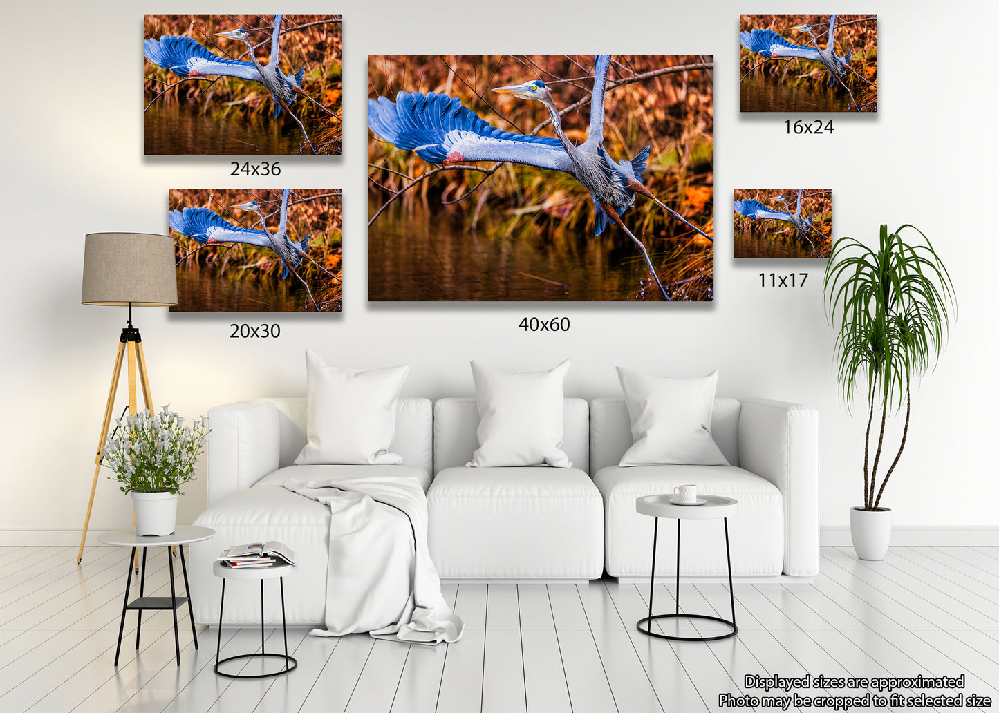 No Time to Pose, Gotta Fly