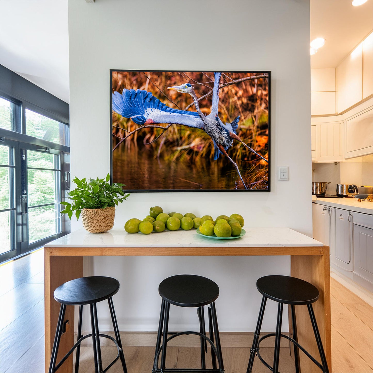 No Time to Pose, Gotta Fly