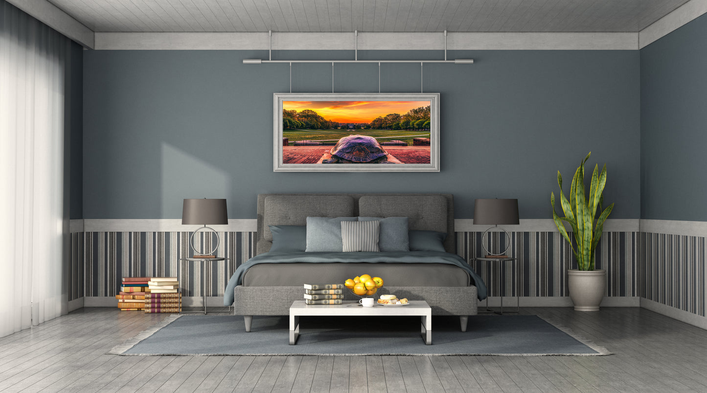 Slowly Crawling Towards a Red Future