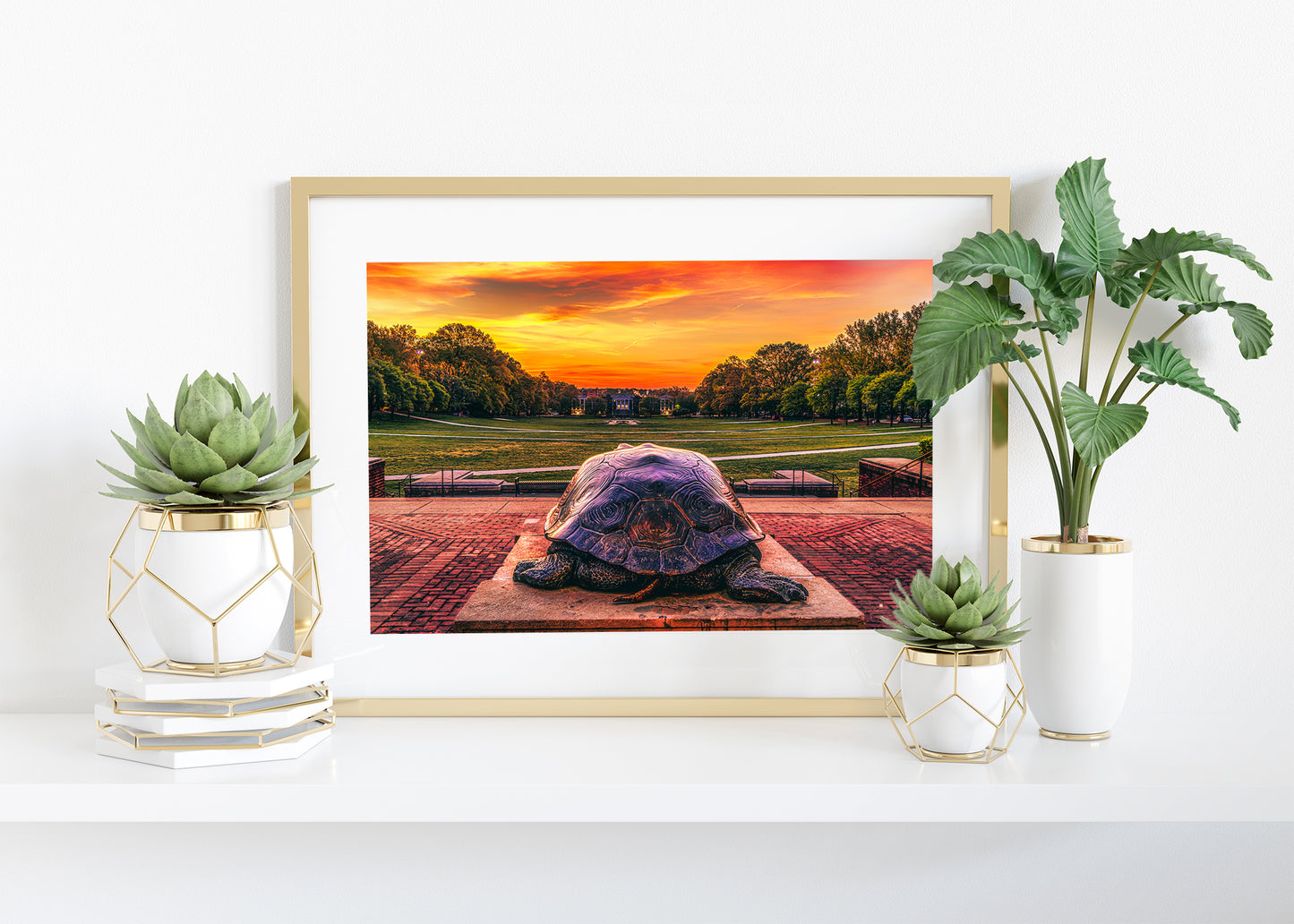 Slowly Crawling Towards a Red Future