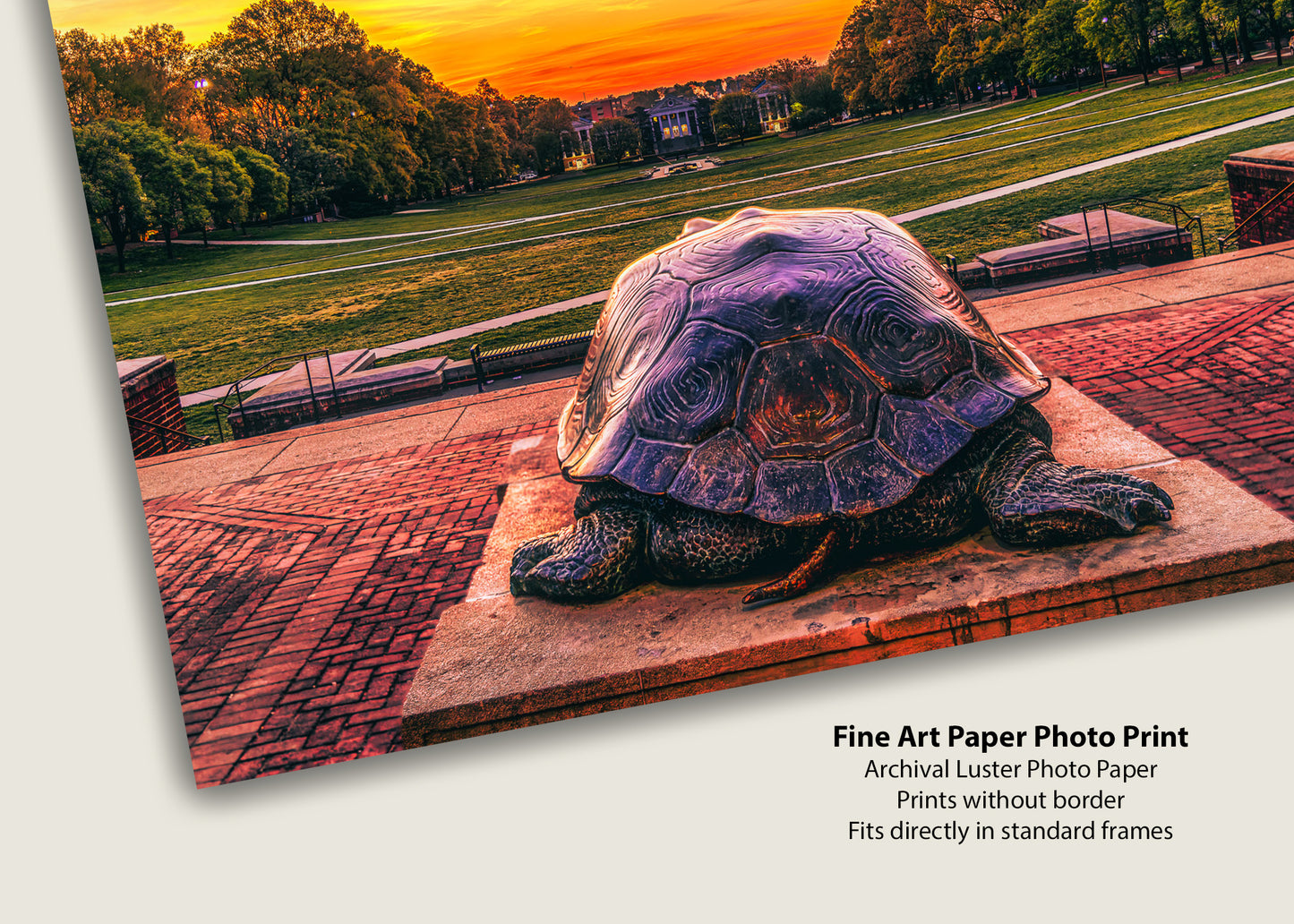 Slowly Crawling Towards a Red Future