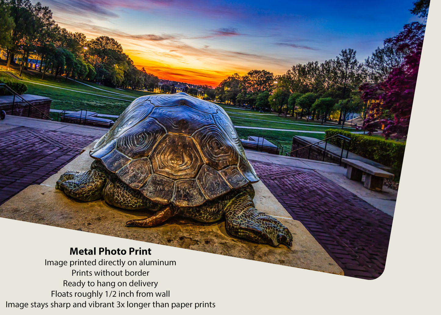 Slowly Crawling Towards the Future