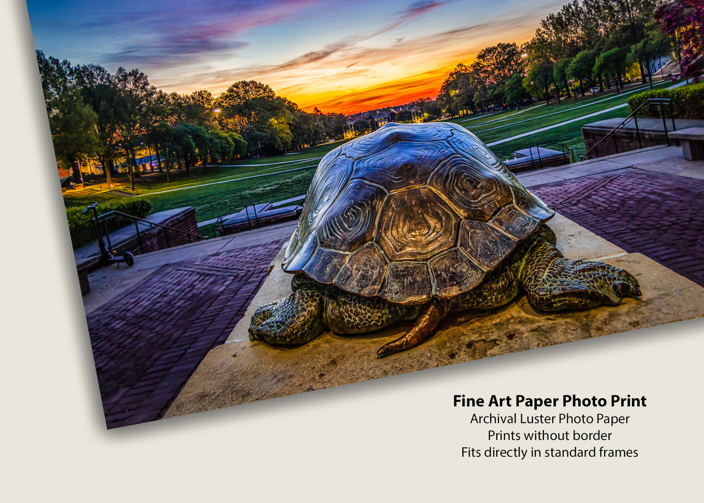 Slowly Crawling Towards the Future