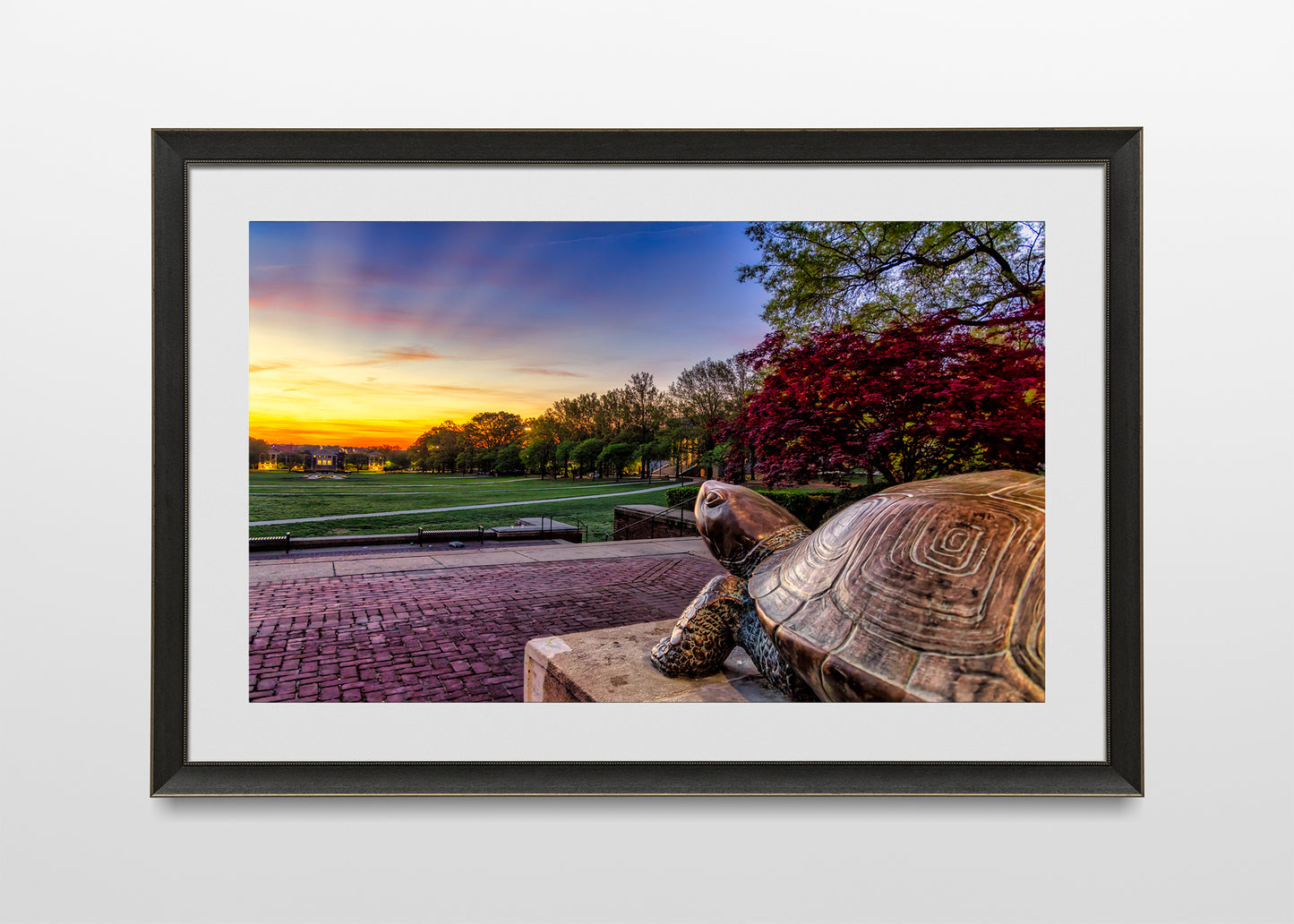 Testudo at Sunrise