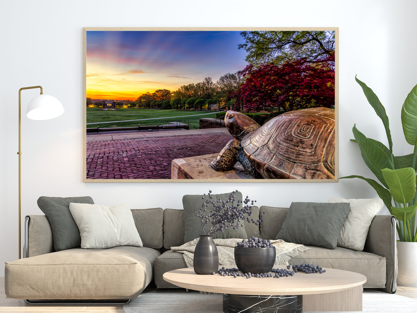Testudo at Sunrise