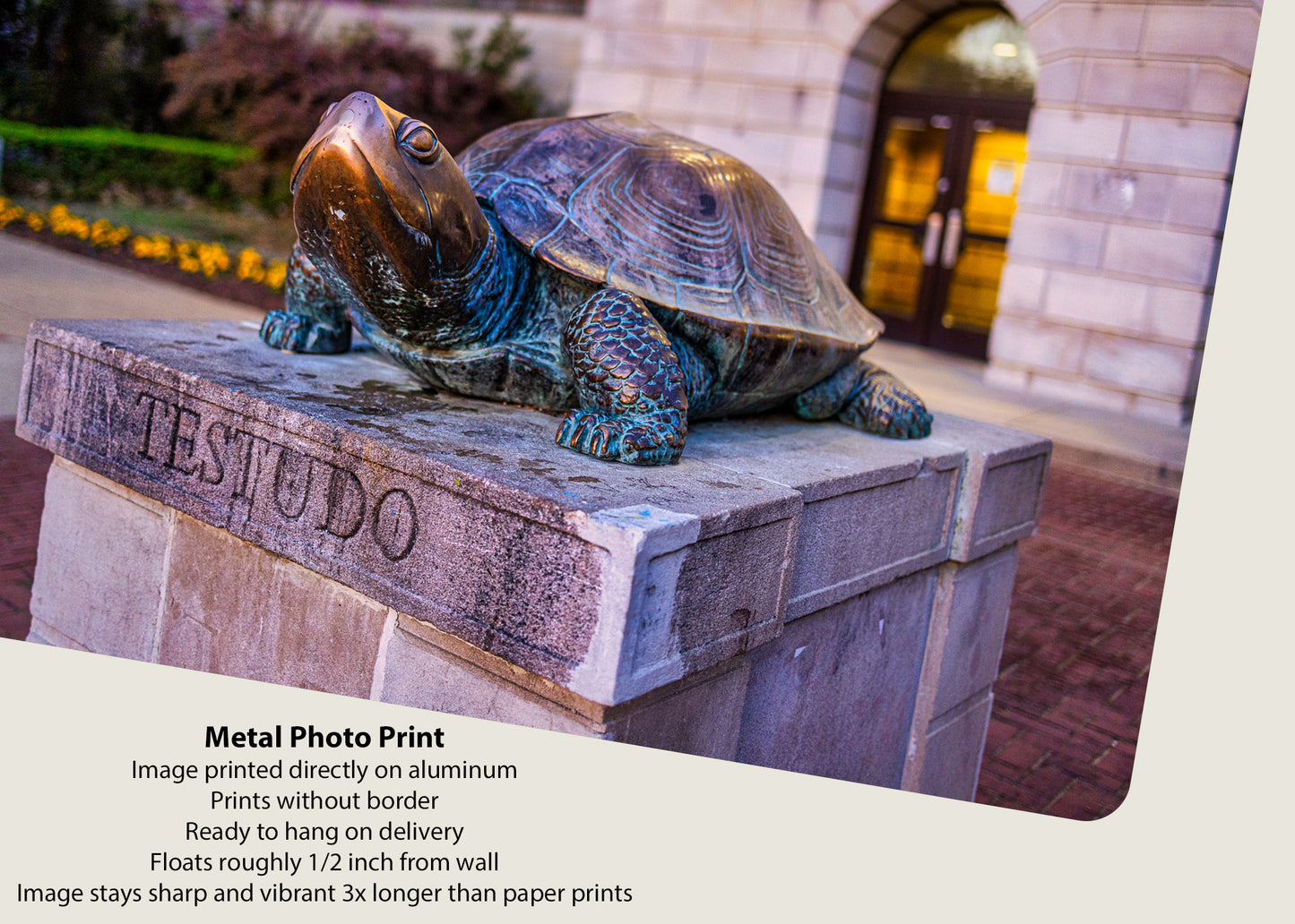 Testudo Statue