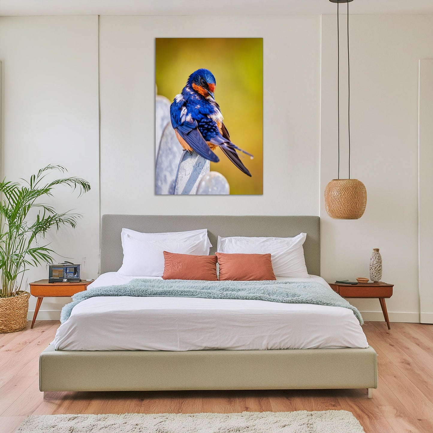 Ruffled Barn Swallow