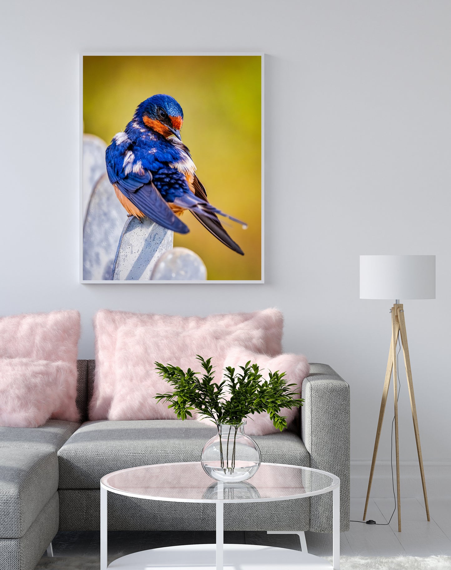 Ruffled Barn Swallow