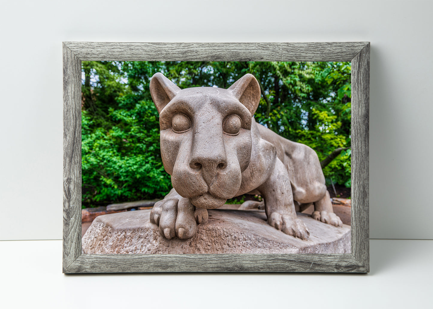 Cara a cara con la estatua del león Nittany