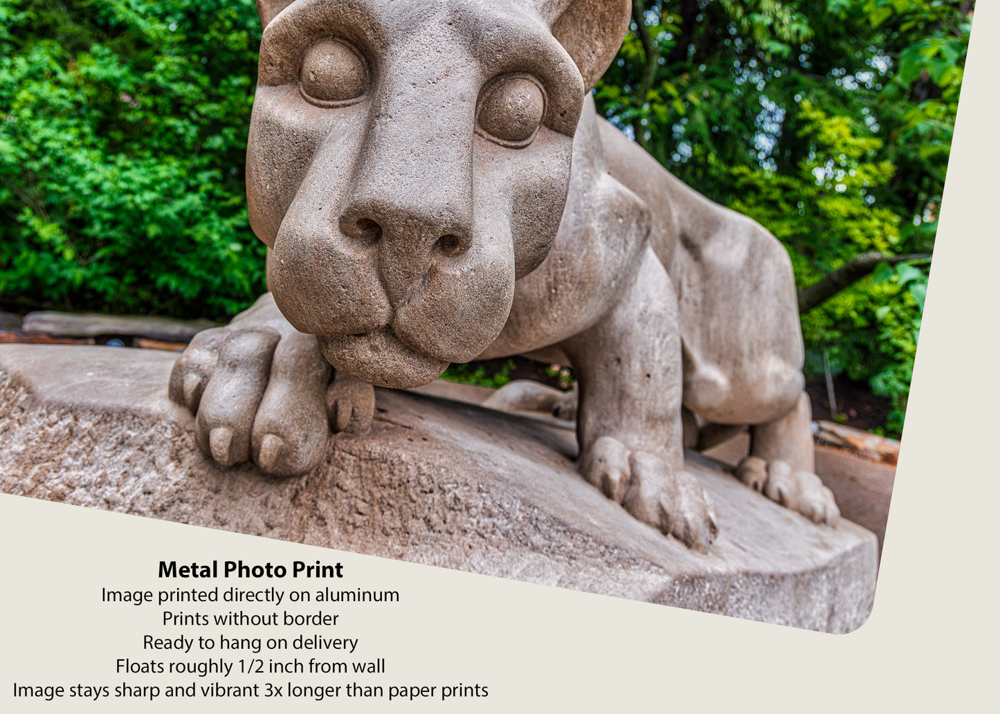 Cara a cara con la estatua del león Nittany