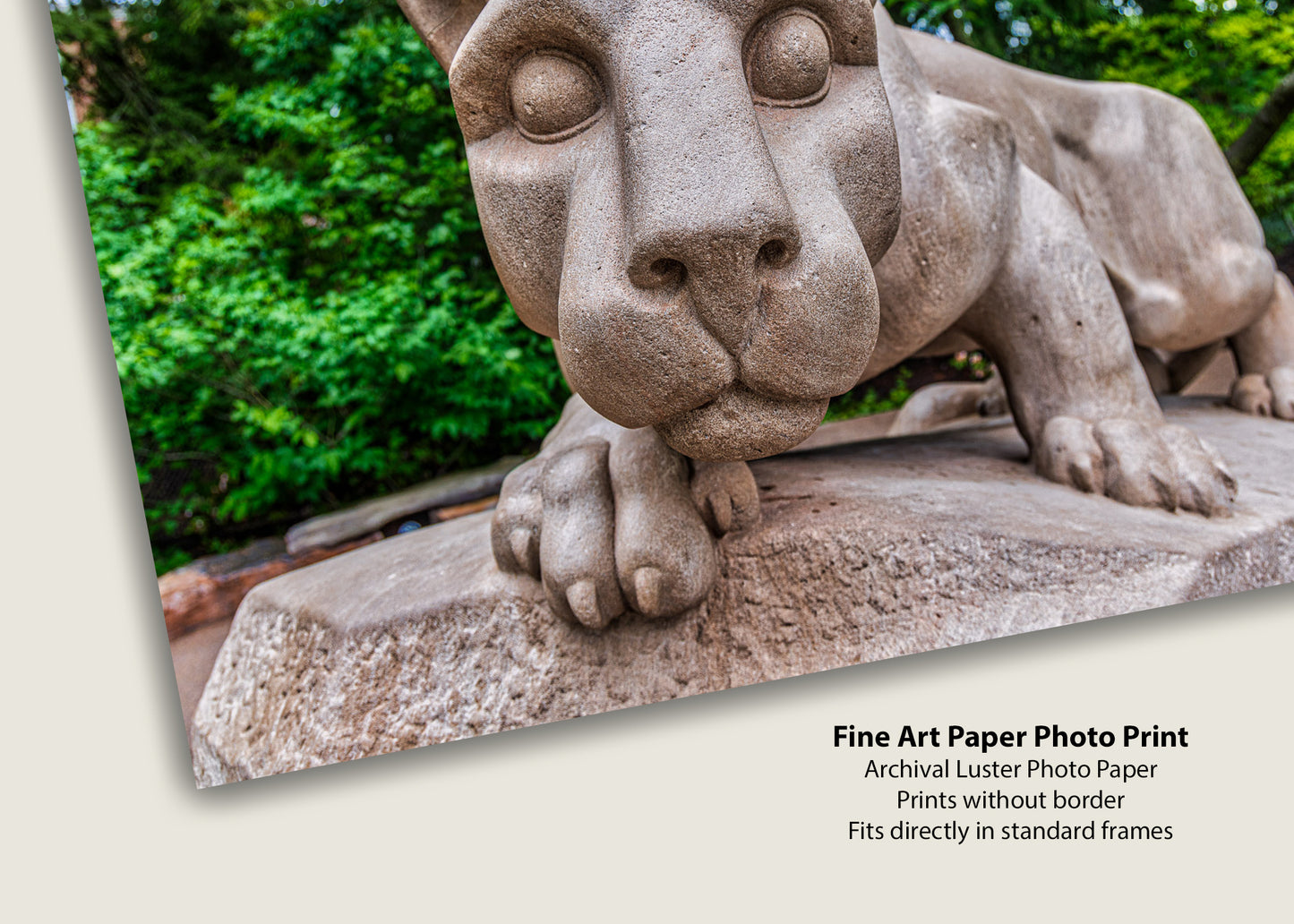 Cara a cara con la estatua del león Nittany