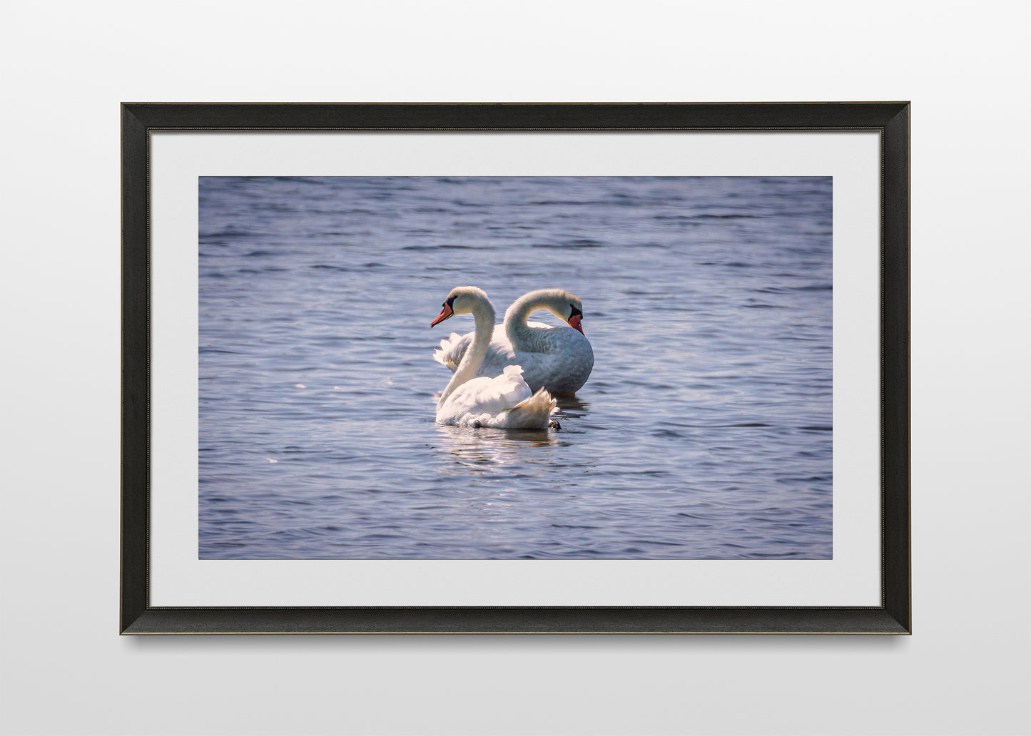 Inside You There Are Two Swans