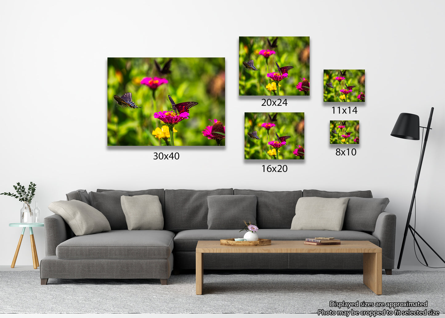 Three Black Swallowtails