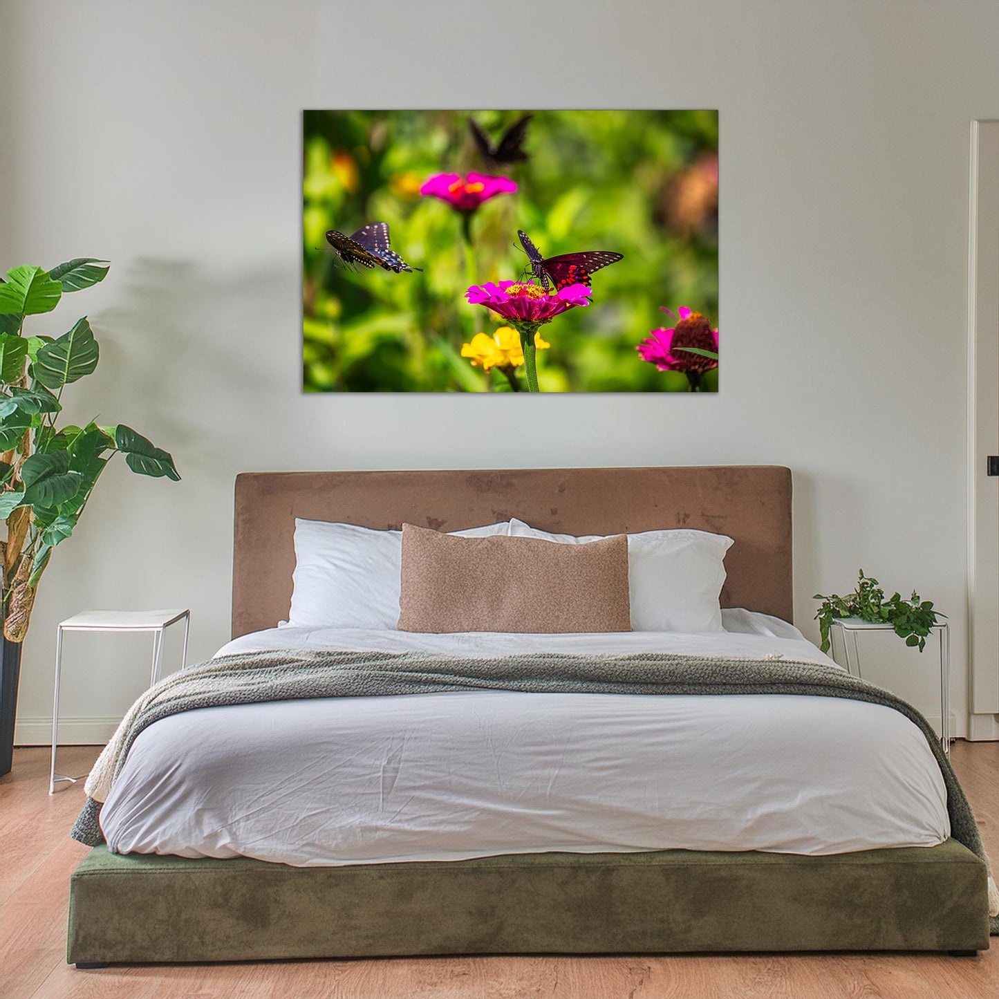 Three Black Swallowtails