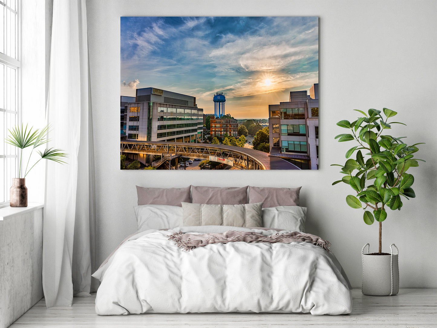 Buenos días Chapel Hill