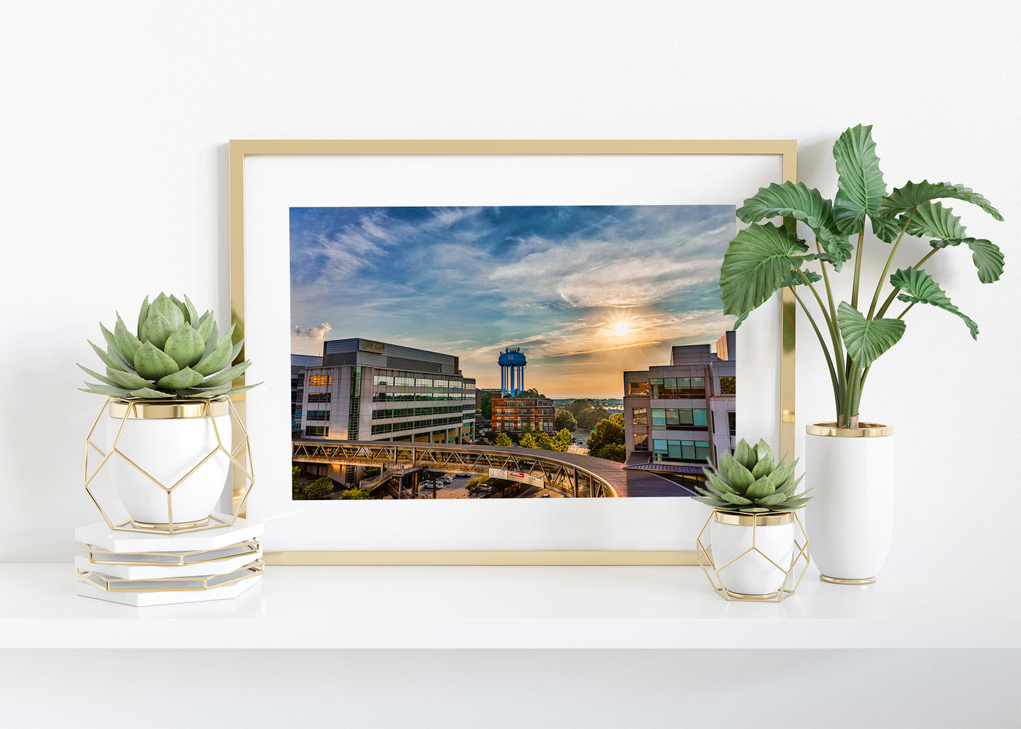 Buenos días Chapel Hill