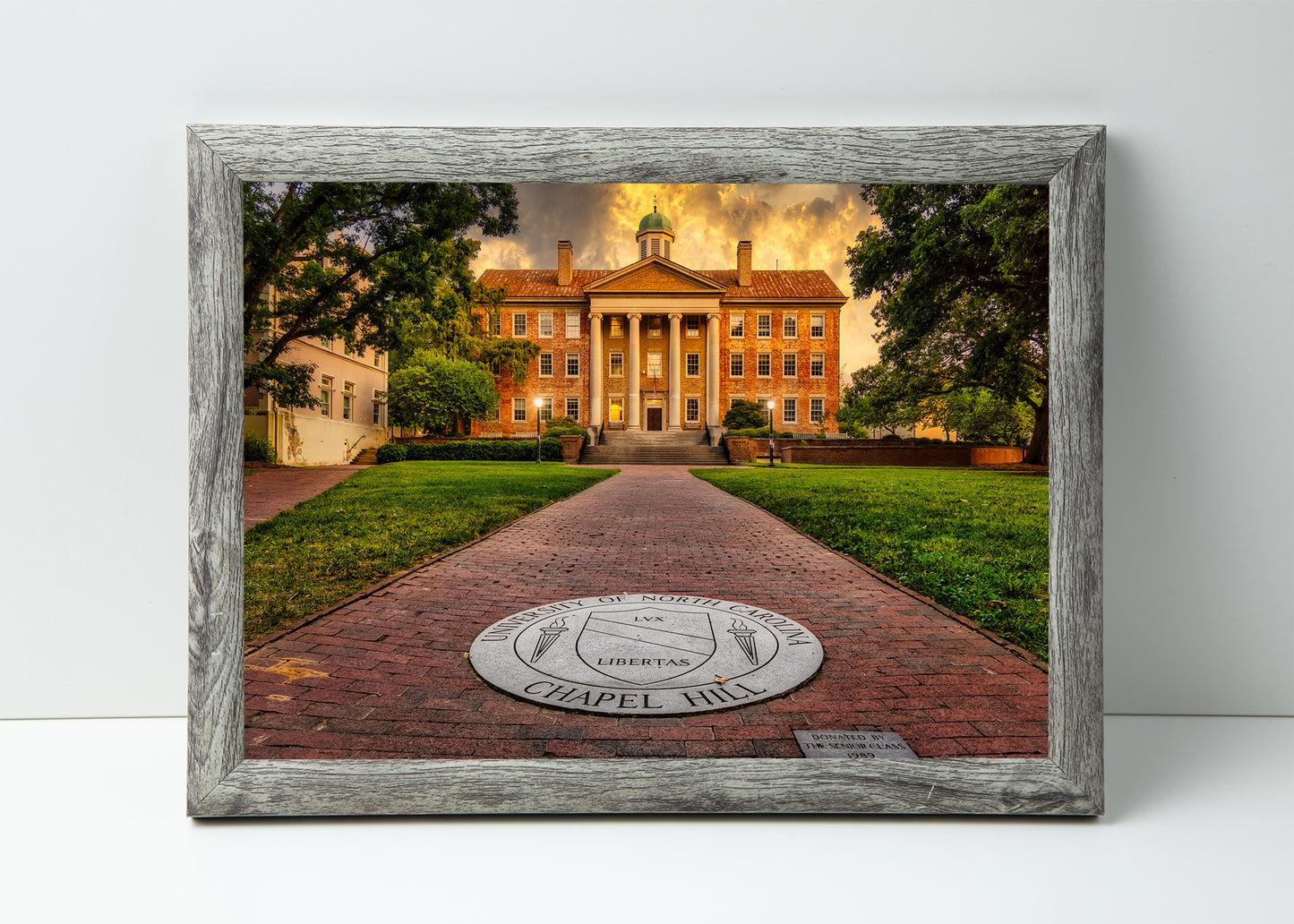 Looking North at the South Building